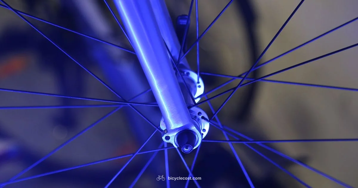 Tune-Up Cost Guide - BicycleCost