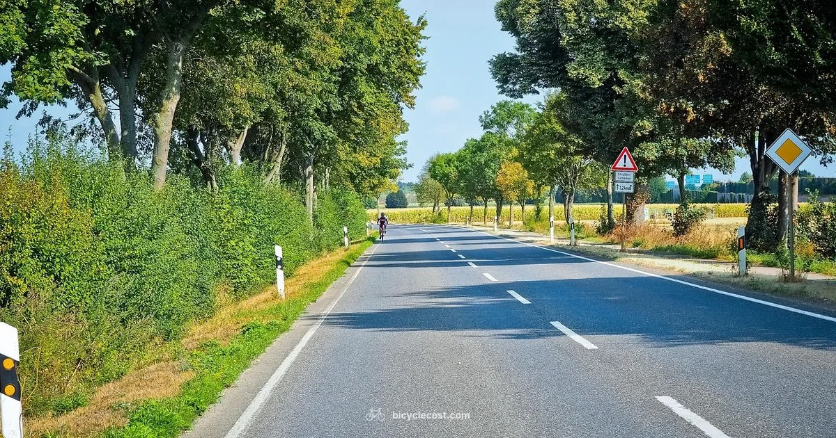 Saddle Comfort On Ride - BicycleCost