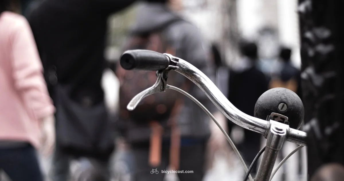 Brake Basics for Safety - BicycleCost