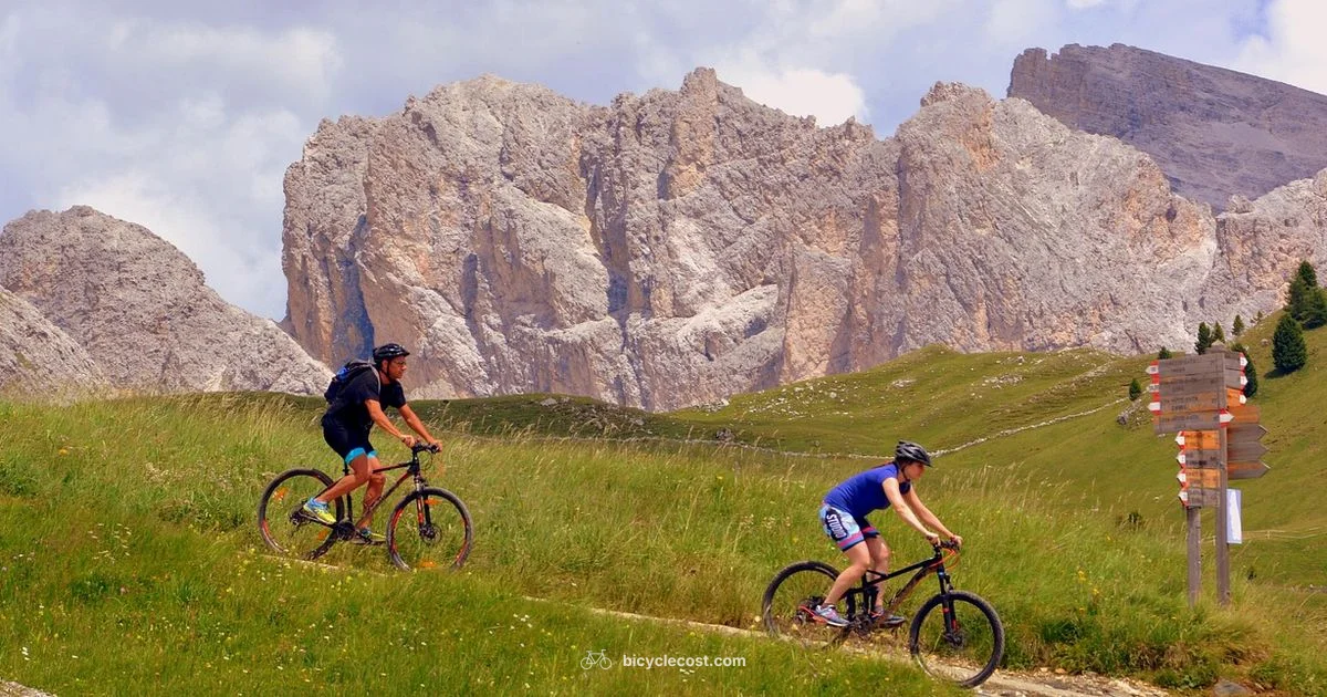 Remedy Guide - BicycleCost