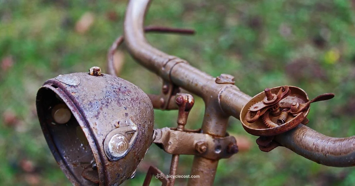 Frame Bicycle Guide - BicycleCost