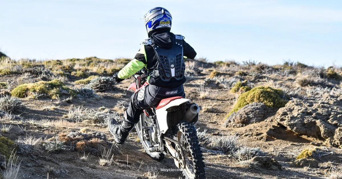 Ultimate Bicycle Guide - BicycleCost