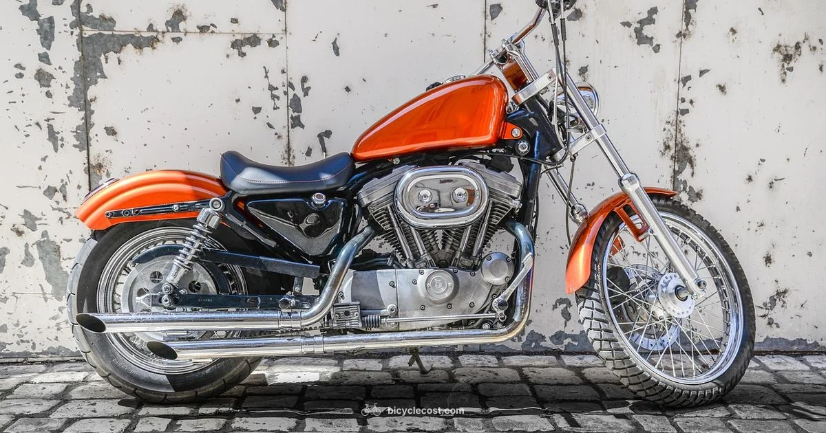 Road Ready Bikes - BicycleCost