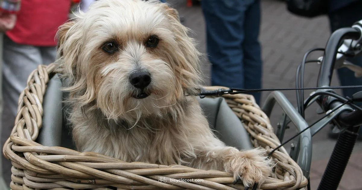 Dog-Friendly Ride - BicycleCost