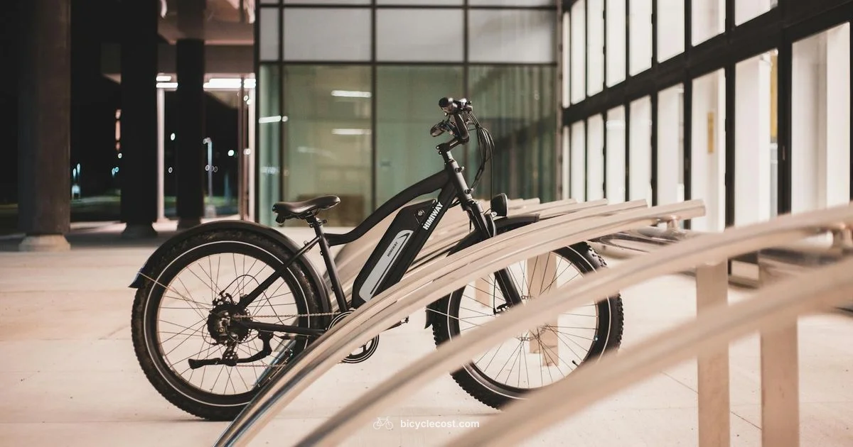 Powerful 2000W E-Bike - BicycleCost