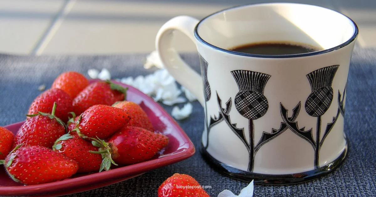 Cafe Bike Guide - BicycleCost