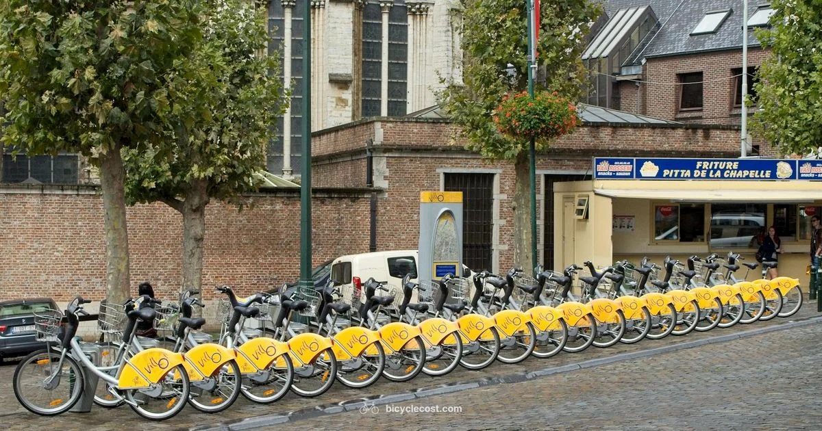 Bicycle Station Guide - BicycleCost