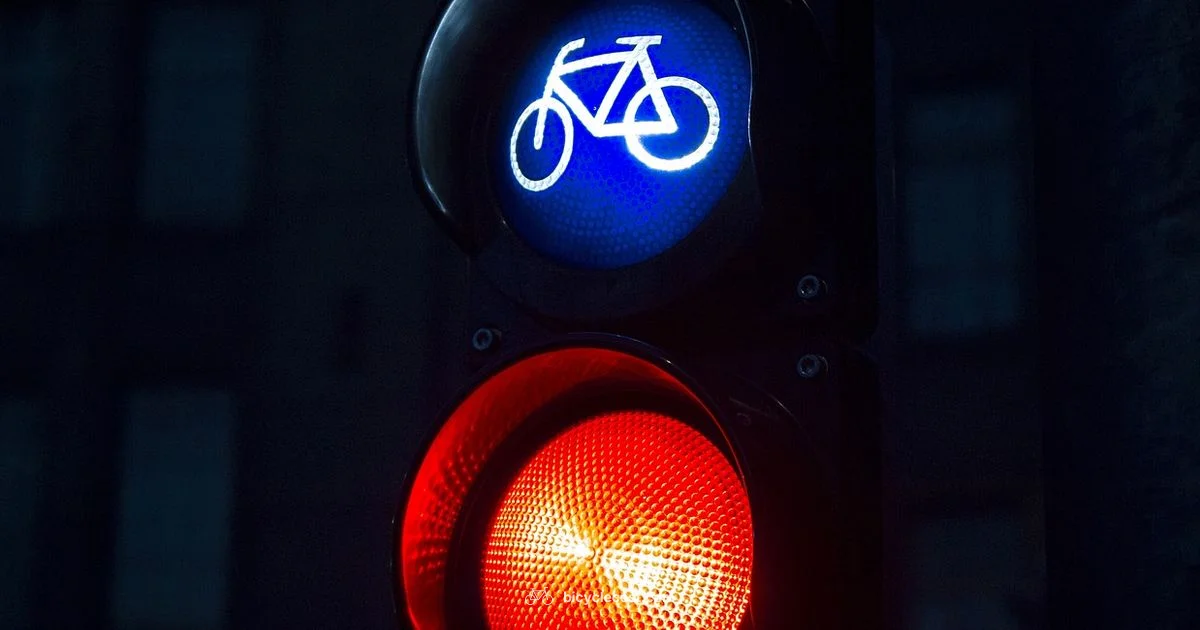 Bicycle Vehicle Rules - BicycleCost