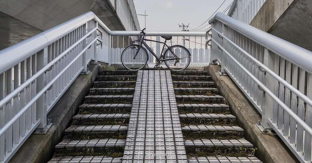 Engine-Powered Bike - BicycleCost