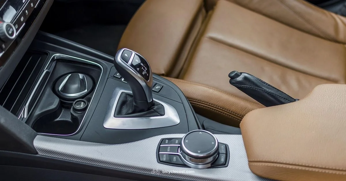 Gear Shifter Basics - BicycleCost