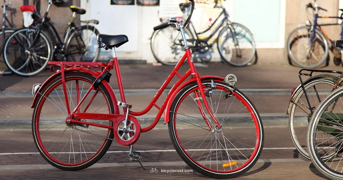 Local Bike Shops Local Bike Shops - BicycleCost