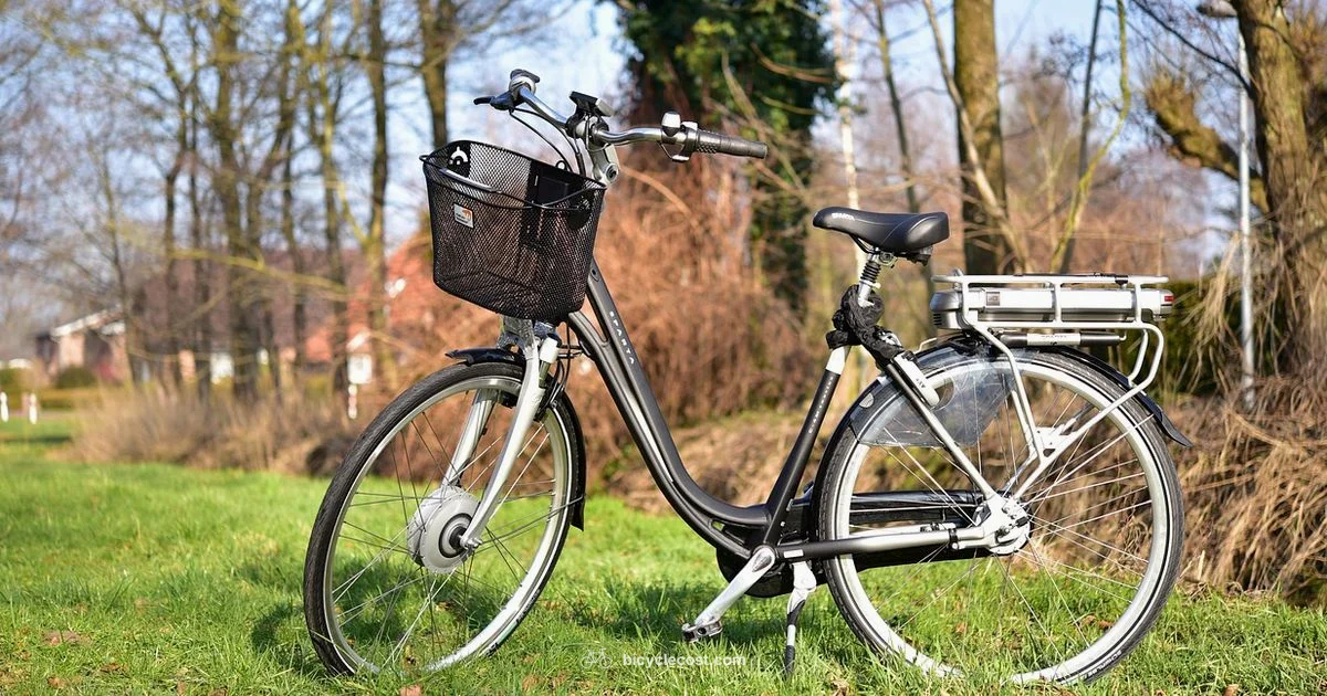 Find Local E-Bike Shops - BicycleCost