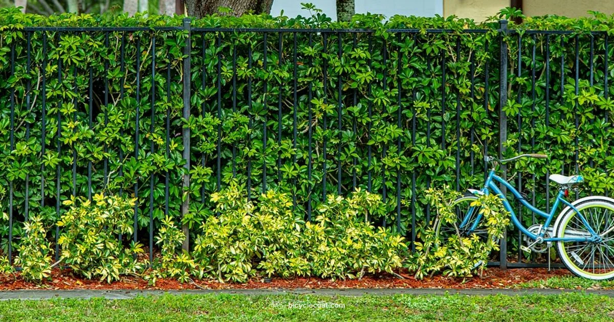 Outdoor Storage Guide - BicycleCost