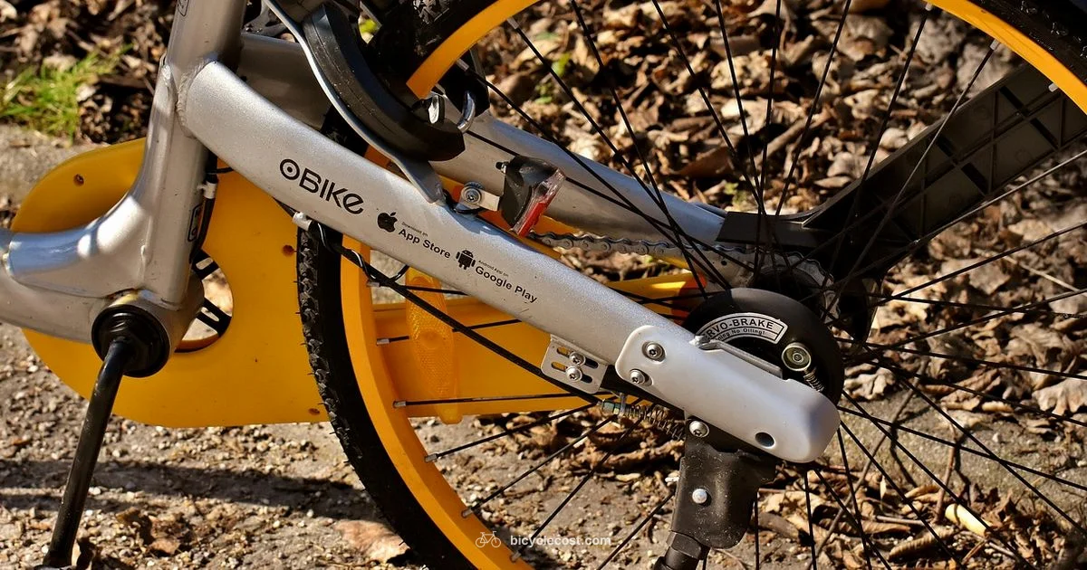 SF Bike Rental - BicycleCost