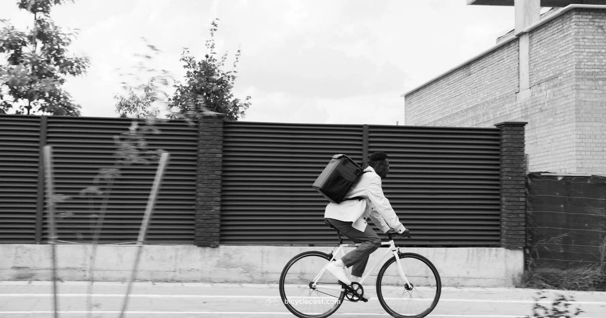 Chainless Bicycle Guide - BicycleCost