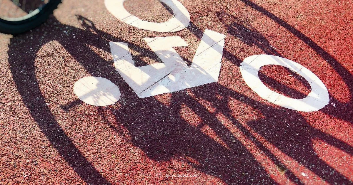 T3 Lane Guide - BicycleCost