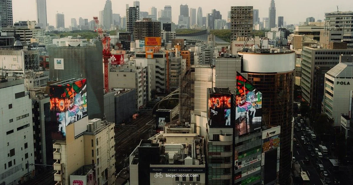 Japan Bicycle Rules - BicycleCost