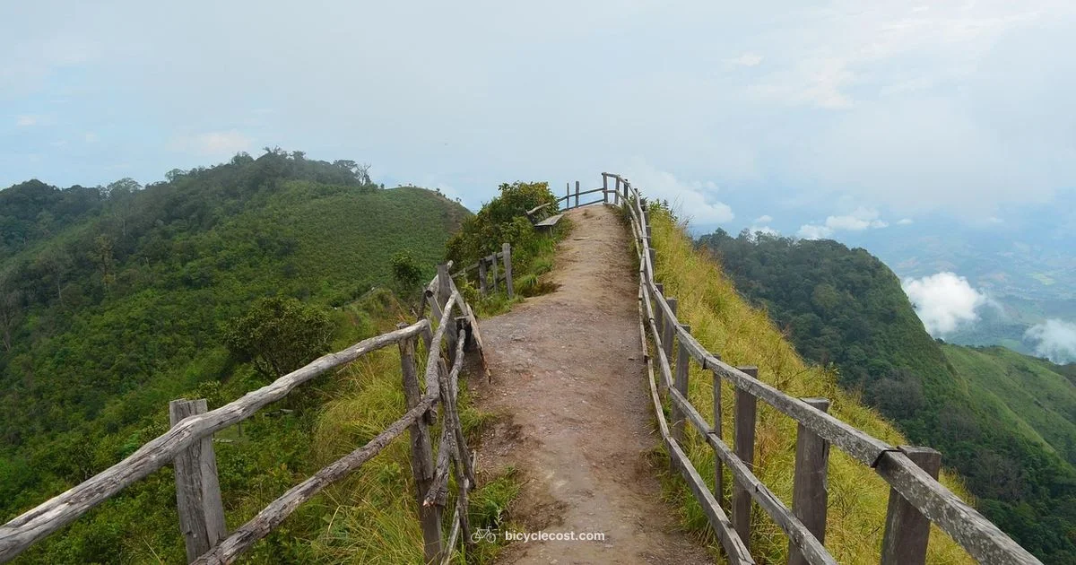 Electric MTB Guide - BicycleCost