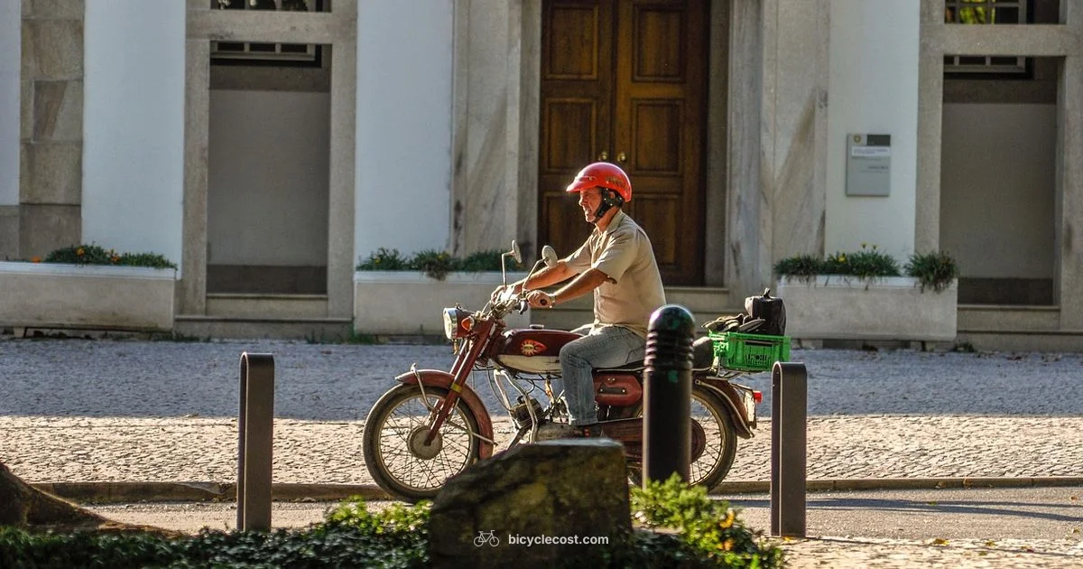 ROAD-READY MENS BIKES - BicycleCost