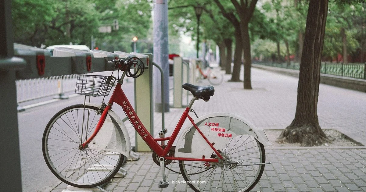 Smart Bike Storage - BicycleCost
