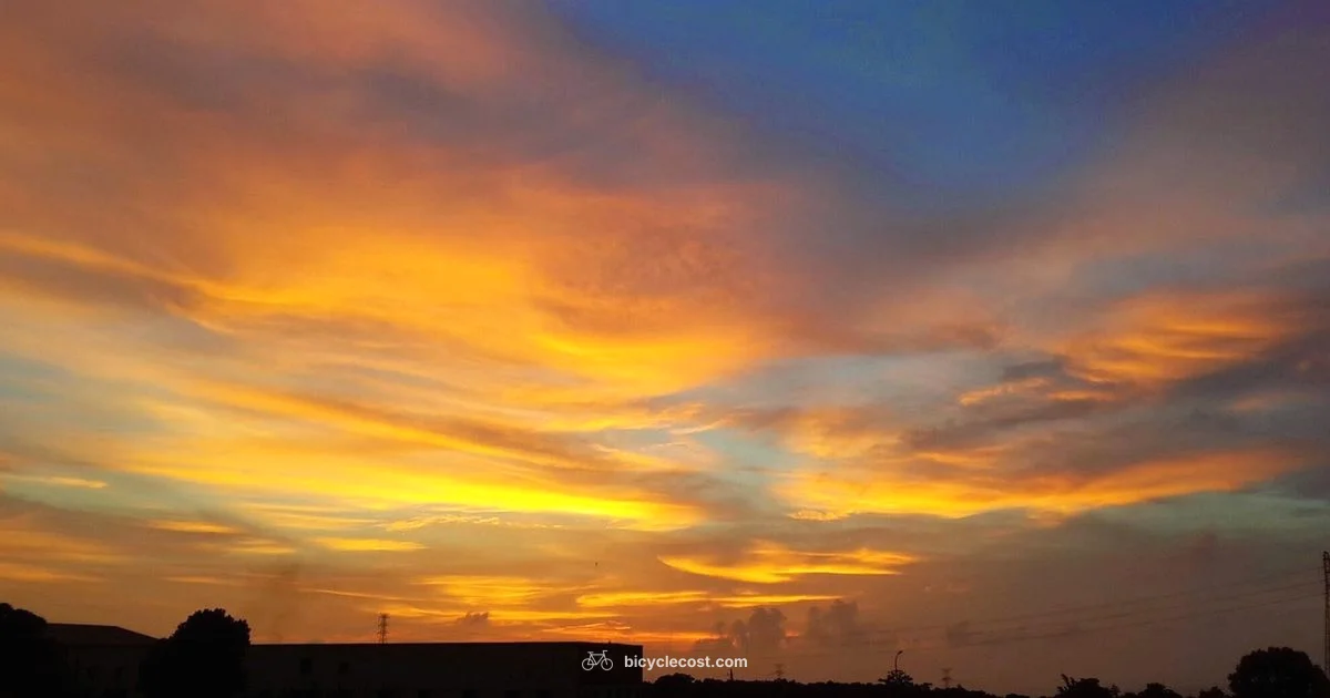 Fixie Guide - BicycleCost