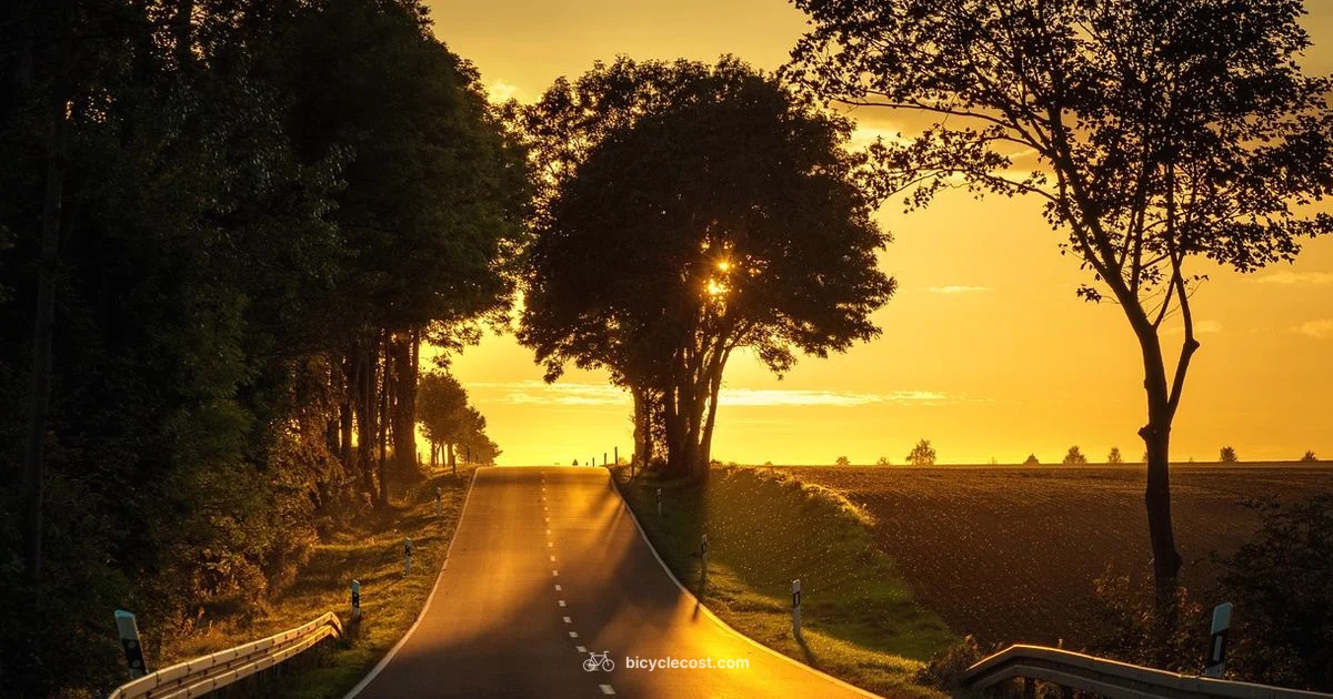 Affordable Road Guide - BicycleCost