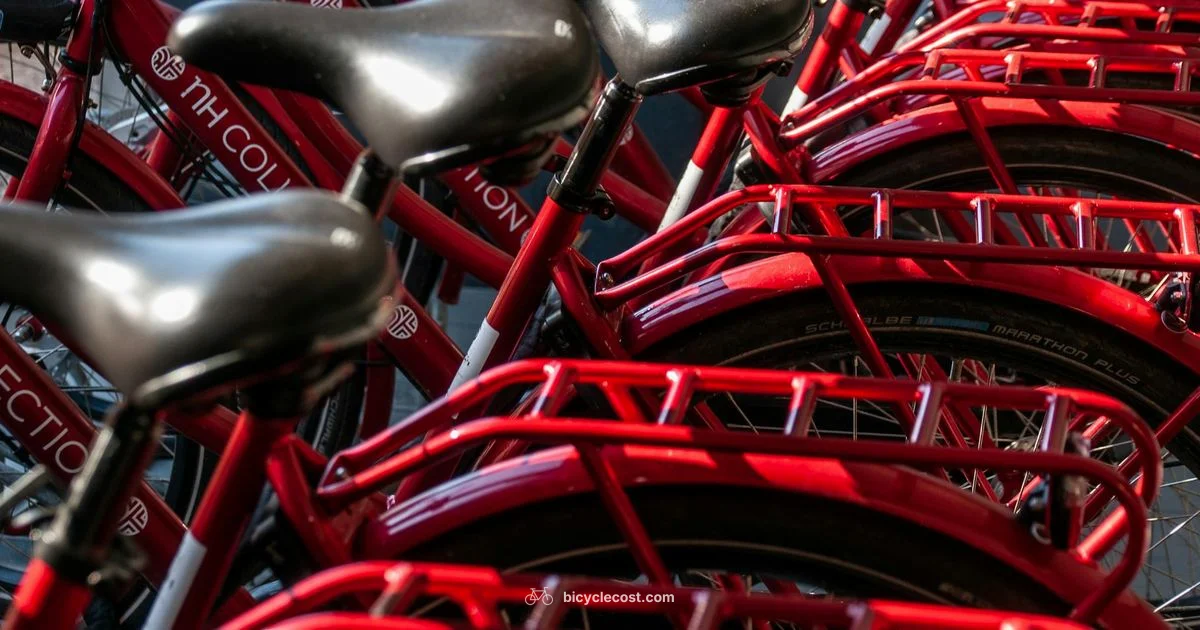 Giant Bicycles - BicycleCost