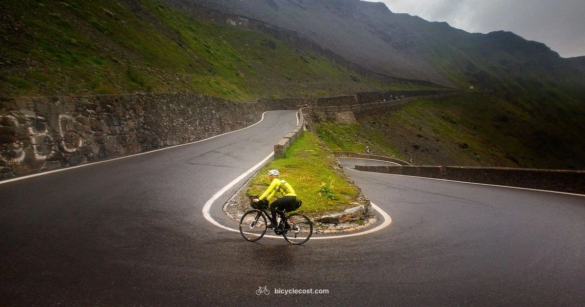 Electric Sports Bike Guide - BicycleCost