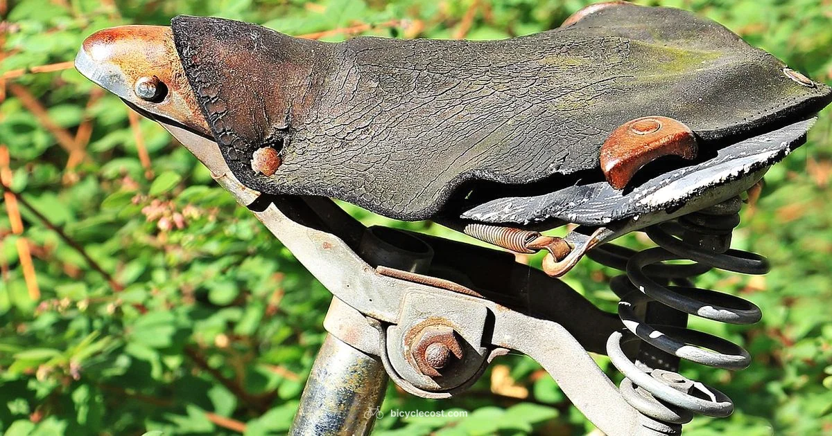 Seat Fit Guide - BicycleCost