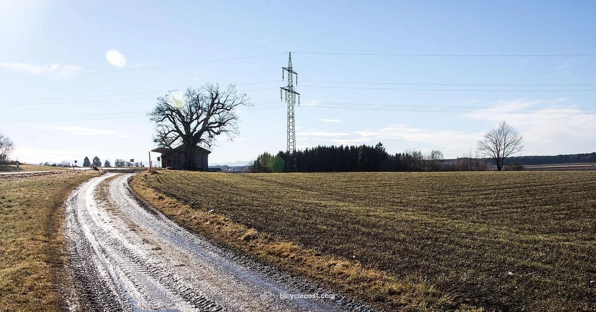 Bike Fender Essentials - BicycleCost