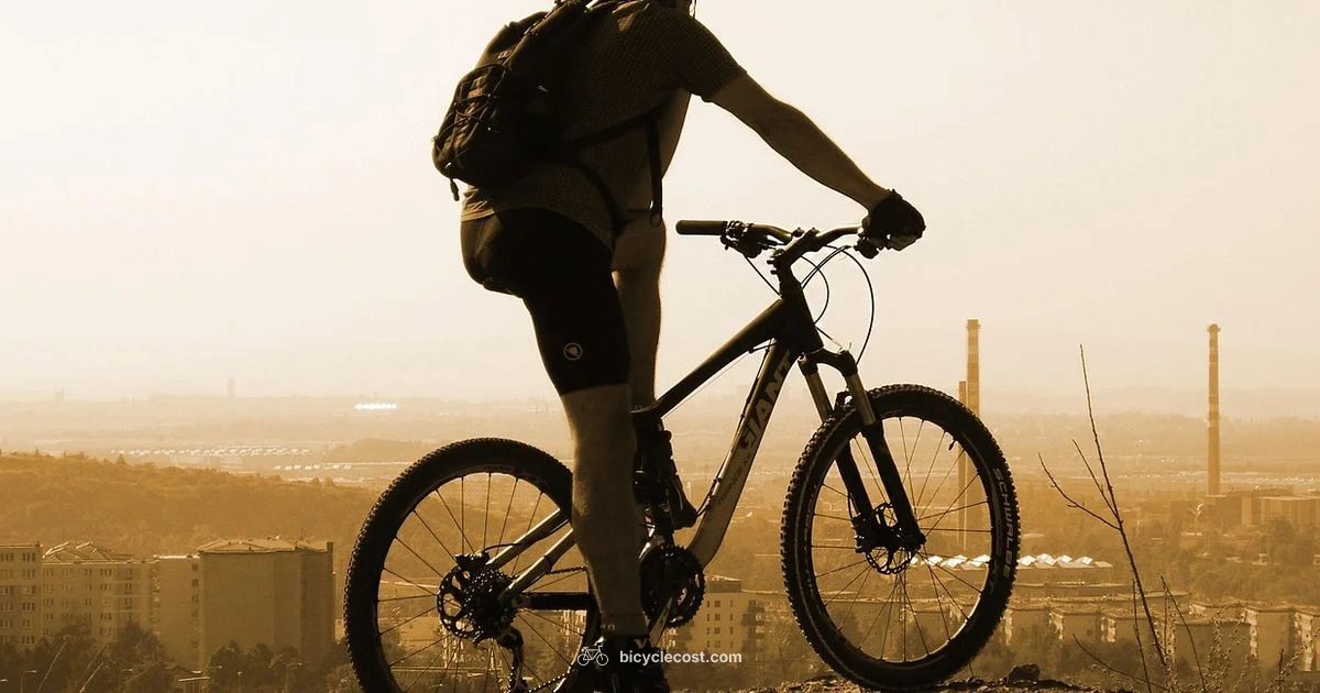 Bicycle Abs Guide - BicycleCost