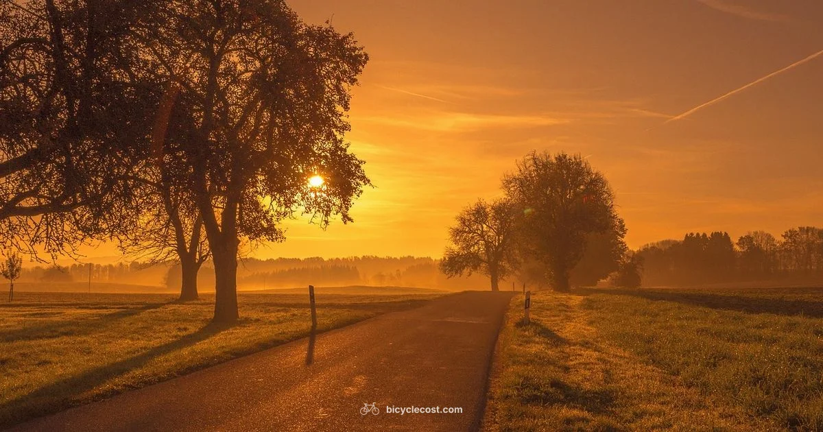 Bike Mileage Guide - BicycleCost