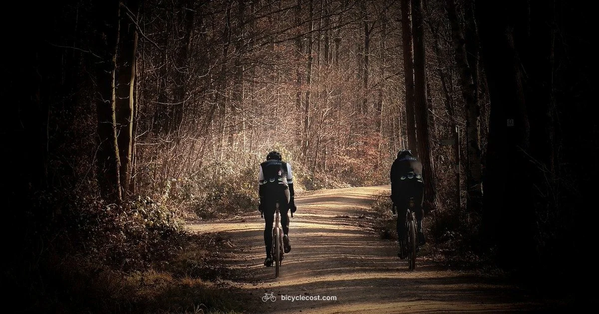 Cycling vs Running - BicycleCost