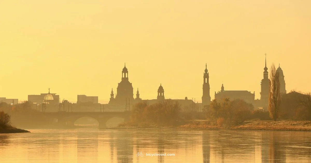 Electric E Bike Guide - BicycleCost