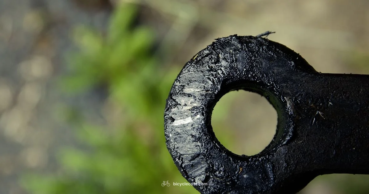 Adult Trailer Guide - BicycleCost