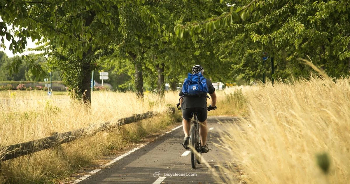 Indoor Cycling Setup - BicycleCost