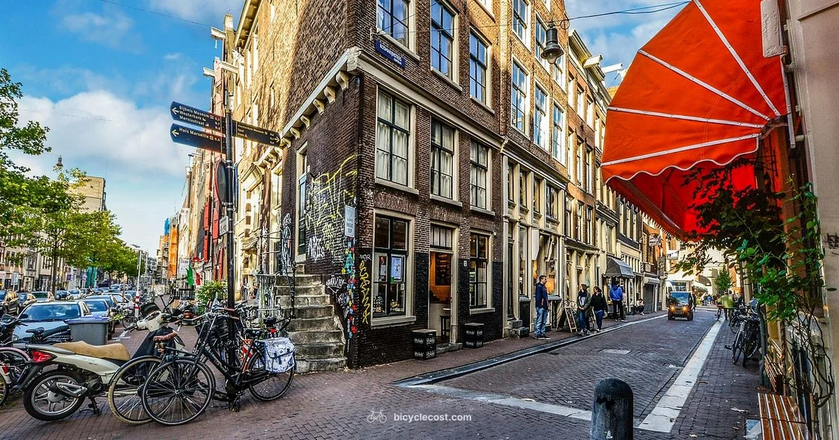 Where Bicycle Heaven - BicycleCost