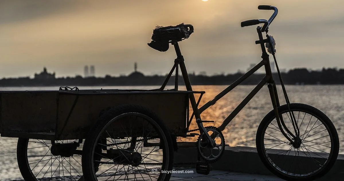 Electric Tricycle Guide - BicycleCost