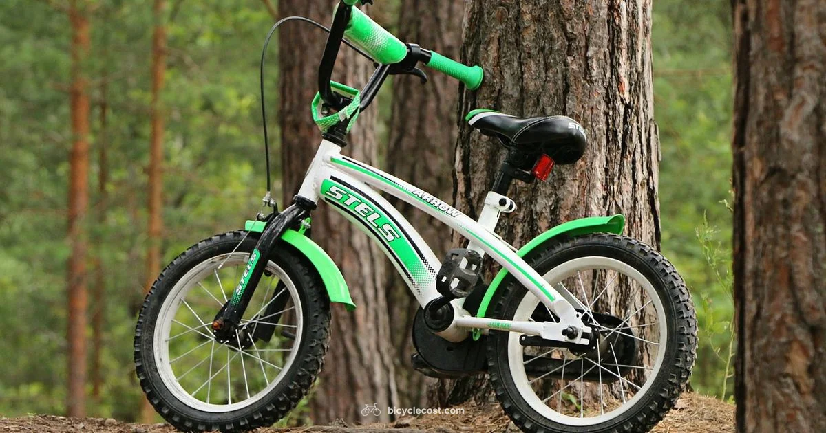 Child Bicycle Readiness - BicycleCost