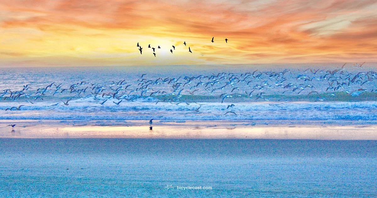 Myrtle Beach Bike Week - BicycleCost