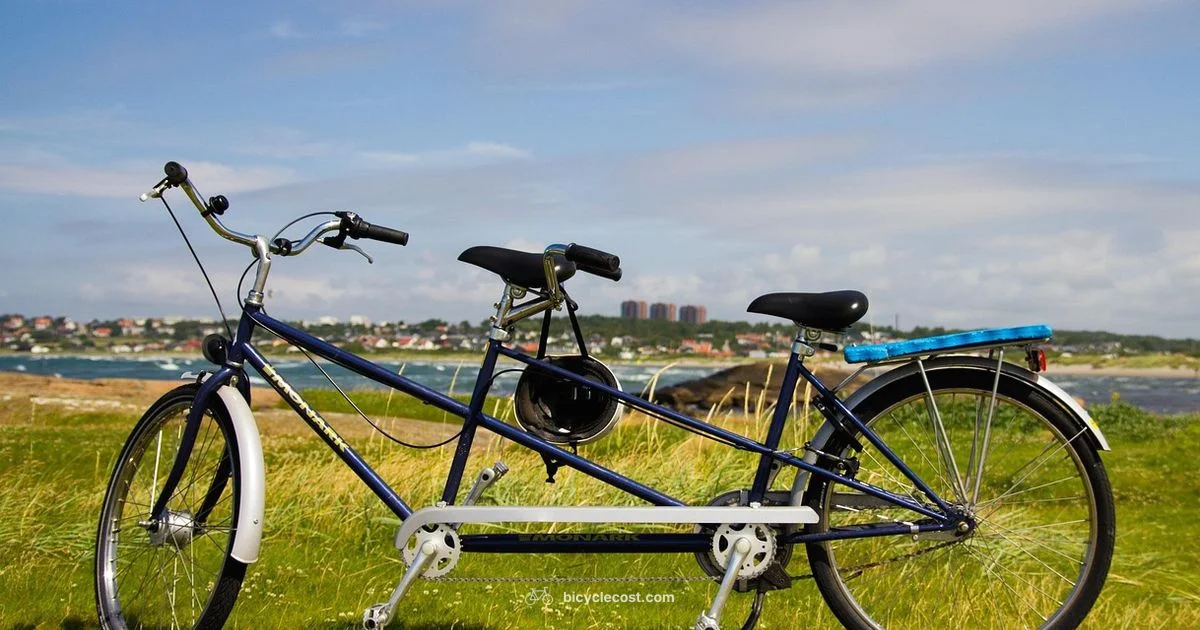 Tandem Bike Picks - BicycleCost