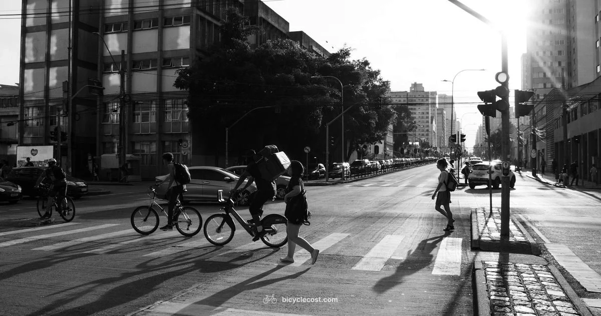 Bombay Bicycle Club - BicycleCost