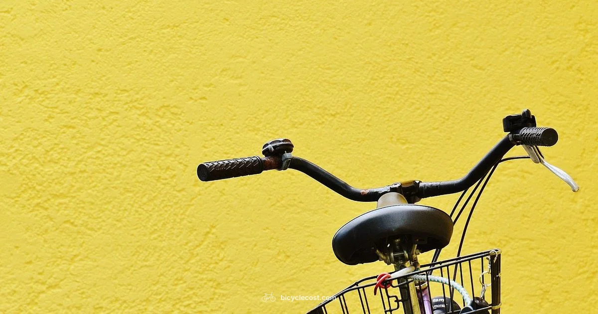 Day 22 Insights - BicycleCost