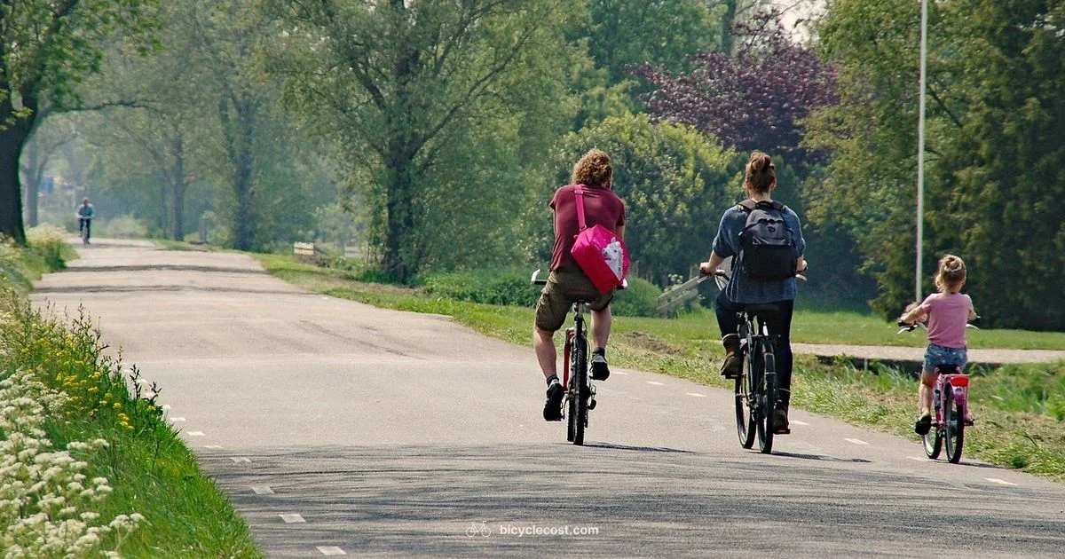 Bicycle French Perfume - BicycleCost