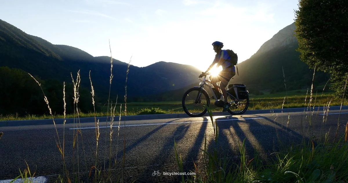 Full Suspension E Bike Full Suspension E Bike - BicycleCost