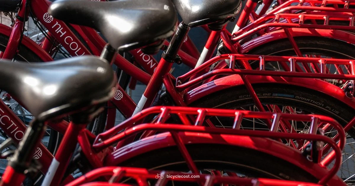 Rack-Free Lock Guide - BicycleCost