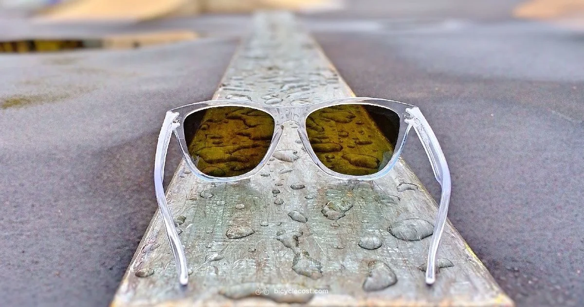 Cycling Sunglasses Guide - BicycleCost