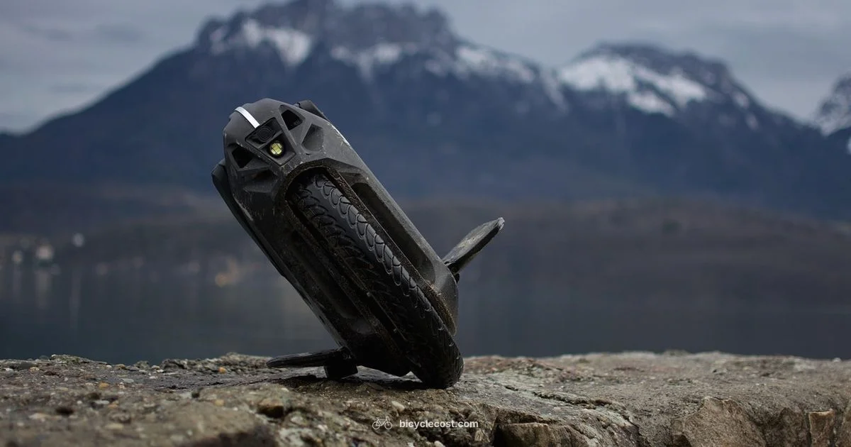 Fat Tire E Bike Guide - BicycleCost