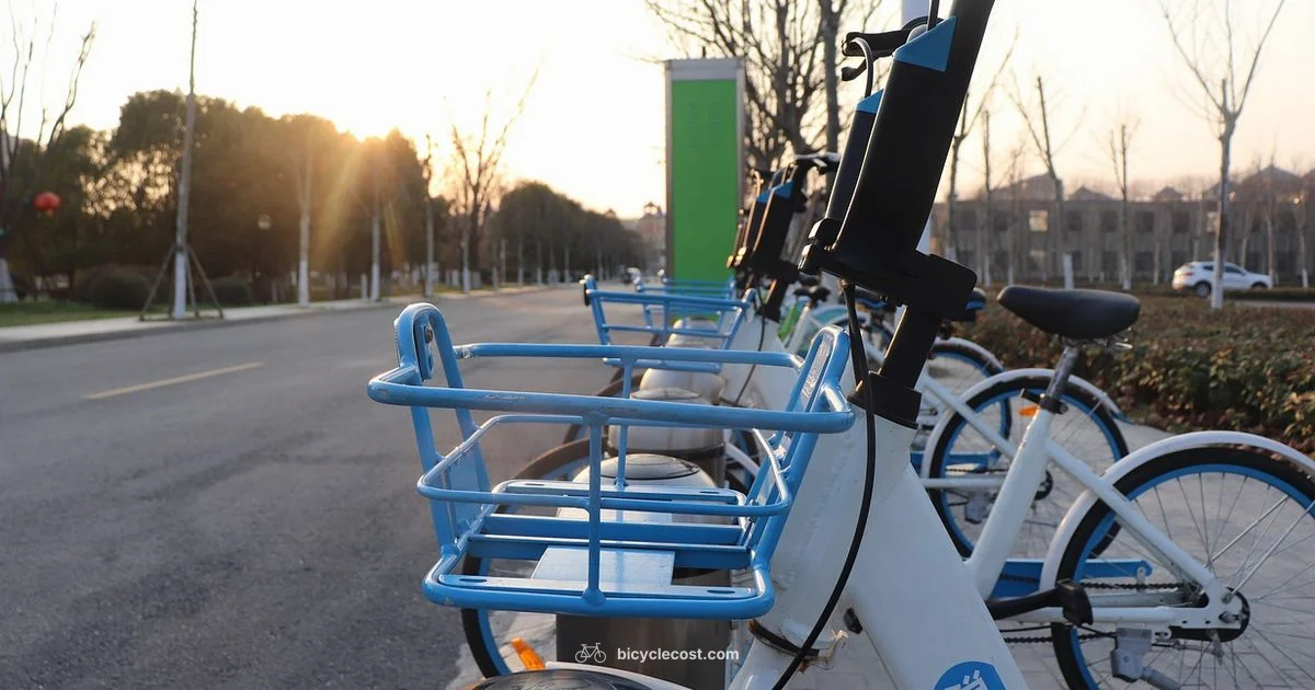 Smart Bike Storage - BicycleCost
