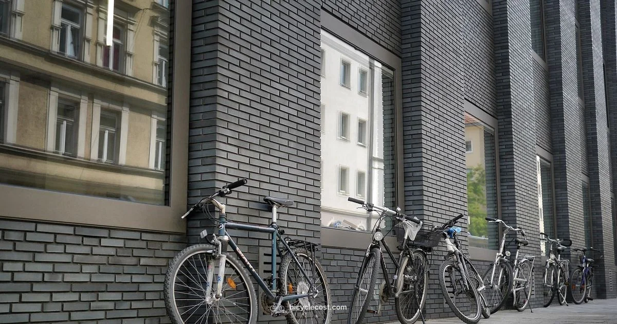 Four Wheel Bicycle - BicycleCost